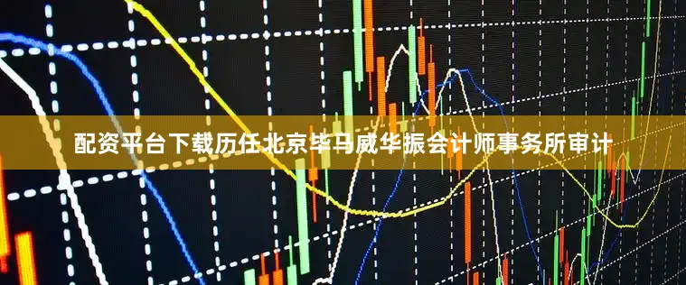配资平台下载历任北京毕马威华振会计师事务所审计
