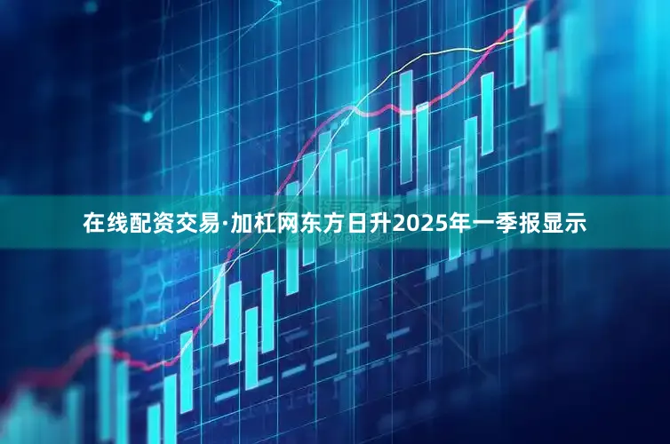 在线配资交易·加杠网东方日升2025年一季报显示