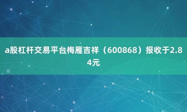 a股杠杆交易平台梅雁吉祥(600868)报收于2.84元