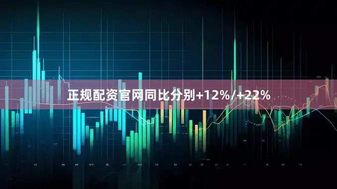 正规配资官网同比分别+12%/+22%