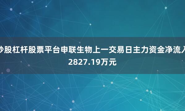 炒股杠杆股票平台申联生物上一交易日主力资金净流入2827.19万元