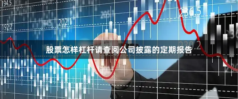 股票怎样杠杆请查阅公司披露的定期报告