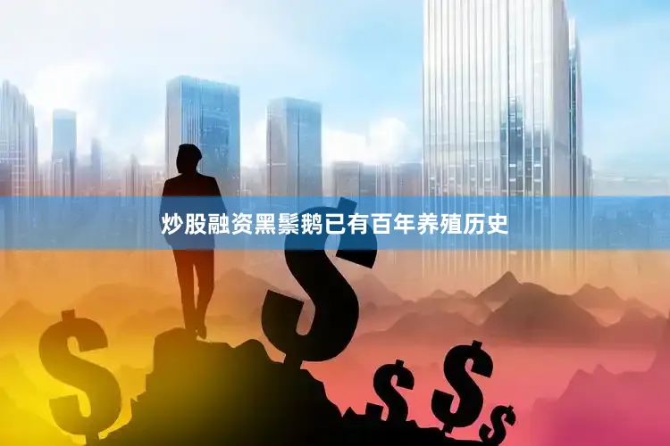 炒股融资黑鬃鹅已有百年养殖历史