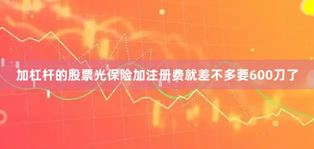 加杠杆的股票光保险加注册费就差不多要600刀了